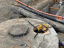 Laser scanning in water treatment plant construction