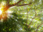 events sustainabilitycivilconstruction