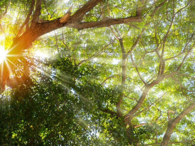 events sustainabilitycivilconstruction